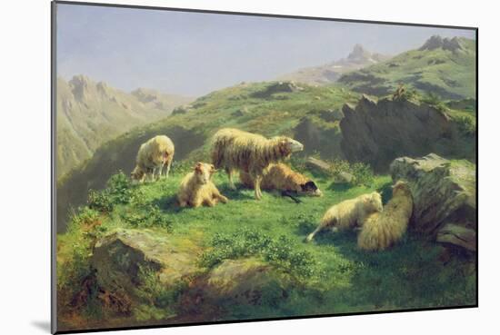 Sheep Grazing in the Pyrenees (Oil on Canvas)-Rosa Bonheur-Mounted Giclee Print