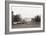 Sheep Grazing on the White House Lawn. During World War 1 from 1916 to 1919-null-Framed Photo