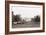 Sheep Grazing on the White House Lawn. During World War 1 from 1916 to 1919-null-Framed Photo