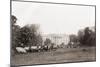 Sheep Grazing on the White House Lawn. During World War 1 from 1916 to 1919-null-Mounted Photo