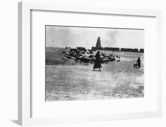 Sheep Grazing Outside Samarra, Mesopotamia, 1918-null-Framed Giclee Print