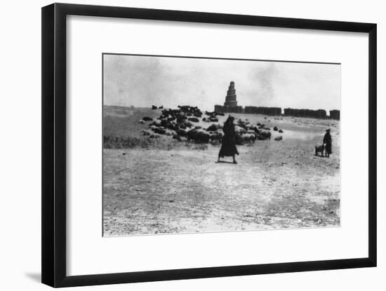 Sheep Grazing Outside Samarra, Mesopotamia, 1918-null-Framed Giclee Print