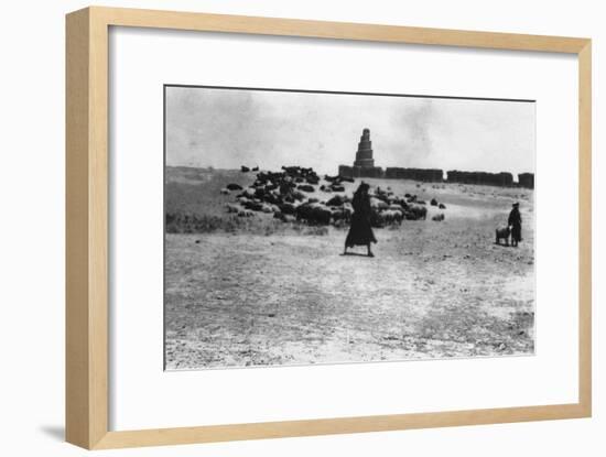 Sheep Grazing Outside Samarra, Mesopotamia, 1918-null-Framed Giclee Print