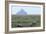 Sheep Grazing-David Nunuk-Framed Photographic Print