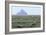 Sheep Grazing-David Nunuk-Framed Photographic Print