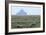 Sheep Grazing-David Nunuk-Framed Photographic Print