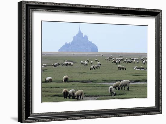 Sheep Grazing-David Nunuk-Framed Photographic Print