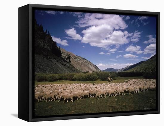 Sheep Herder Tending His Flock in the Sawtooth Mountains-Eliot Elisofon-Framed Premier Image Canvas