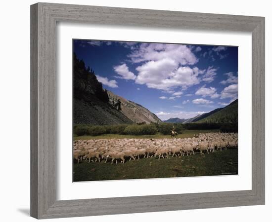 Sheep Herder Tending His Flock in the Sawtooth Mountains-Eliot Elisofon-Framed Photographic Print