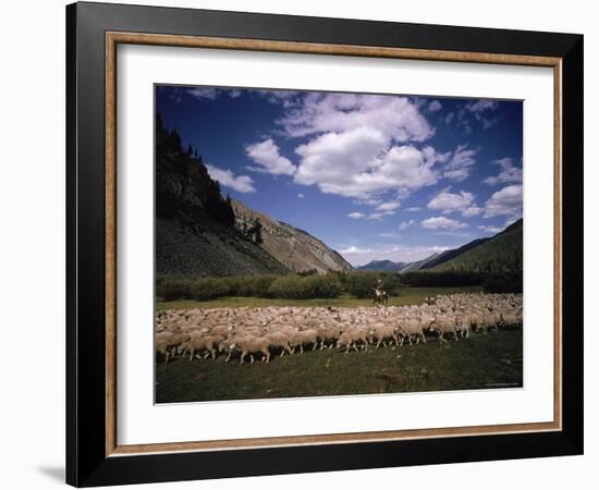 Sheep Herder Tending His Flock in the Sawtooth Mountains-Eliot Elisofon-Framed Photographic Print