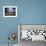 Sheep Herder Tending His Flock in the Sawtooth Mountains-Eliot Elisofon-Framed Photographic Print displayed on a wall