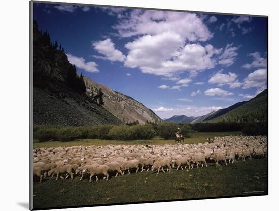 Sheep Herder Tending His Flock in the Sawtooth Mountains-Eliot Elisofon-Mounted Photographic Print