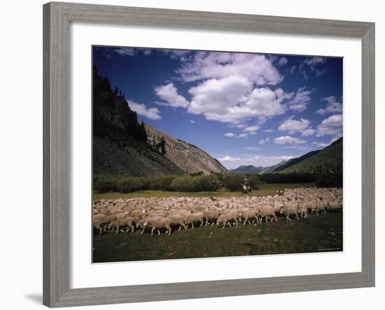 Sheep Herder Tending His Flock in the Sawtooth Mountains-Eliot Elisofon-Framed Photographic Print