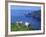 Sheep, Hermaness Nature Reserve, Hermaness, Scotland, United Kingdom-Patrick Dieudonne-Framed Photographic Print