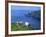 Sheep, Hermaness Nature Reserve, Hermaness, Scotland, United Kingdom-Patrick Dieudonne-Framed Photographic Print