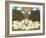 Sheep III-Ditz-Framed Giclee Print