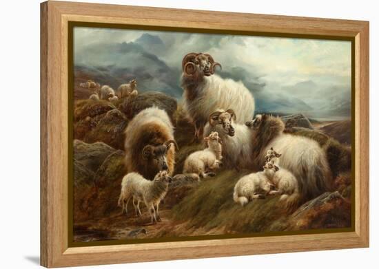 Sheep in a Landscape, 1894-Robert Watson-Framed Premier Image Canvas