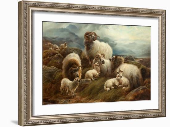 Sheep in a Landscape, 1894-Robert Watson-Framed Giclee Print
