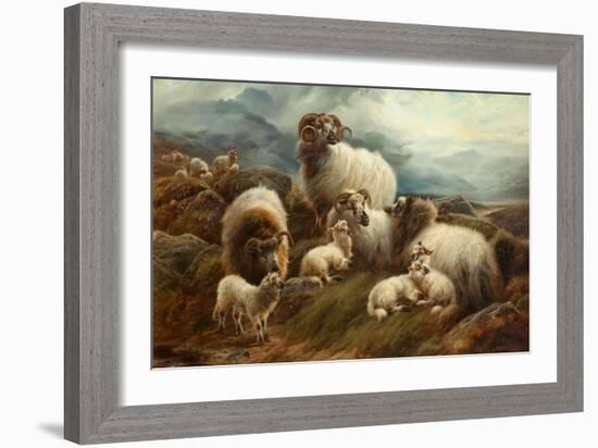 Sheep in a Landscape, 1894-Robert Watson-Framed Giclee Print