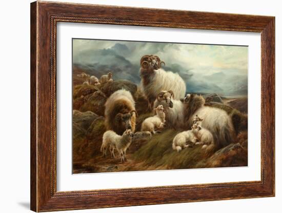 Sheep in a Landscape, 1894-Robert Watson-Framed Giclee Print