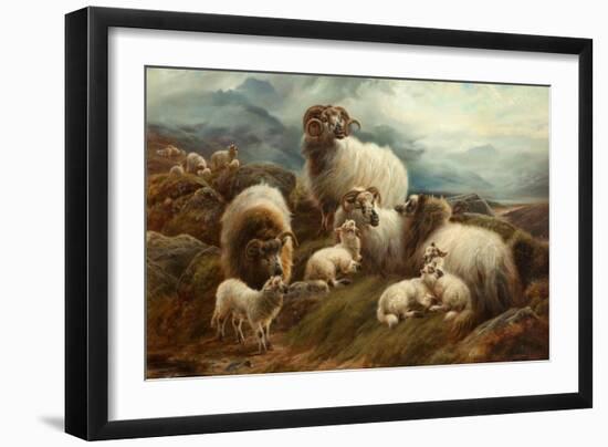 Sheep in a Landscape, 1894-Robert Watson-Framed Giclee Print