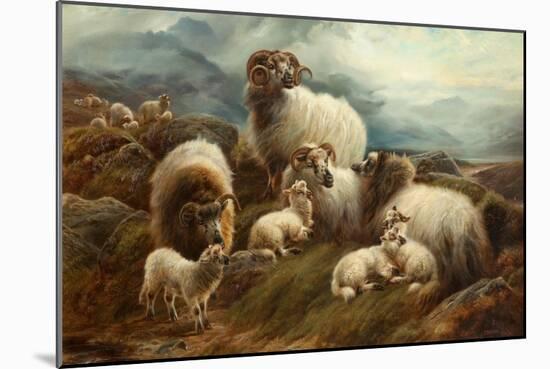 Sheep in a Landscape, 1894-Robert Watson-Mounted Giclee Print