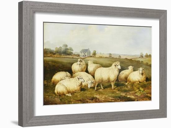 Sheep in a Meadow-James Charles Morris-Framed Giclee Print