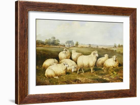 Sheep in a Meadow-James Charles Morris-Framed Giclee Print