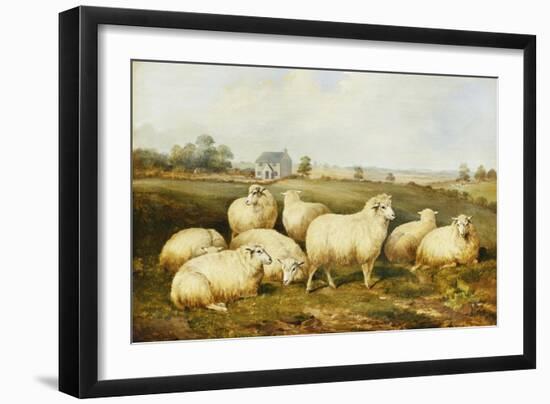 Sheep in a Meadow-James Charles Morris-Framed Giclee Print