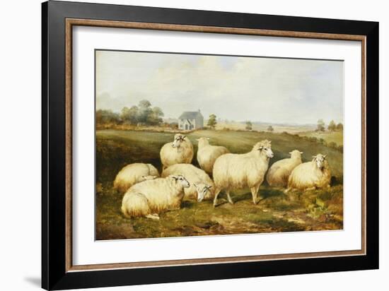 Sheep in a Meadow-James Charles Morris-Framed Giclee Print