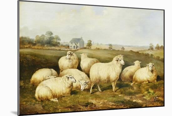 Sheep in a Meadow-James Charles Morris-Mounted Giclee Print