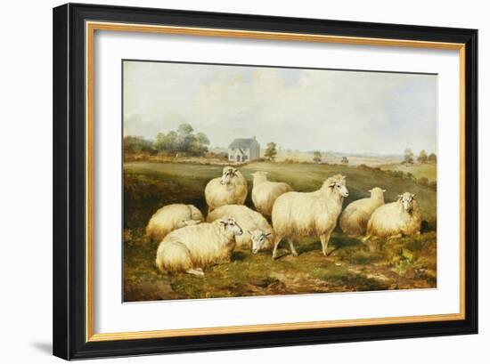 Sheep in a Meadow-James Charles Morris-Framed Giclee Print