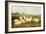 Sheep in a Meadow-James Charles Morris-Framed Giclee Print