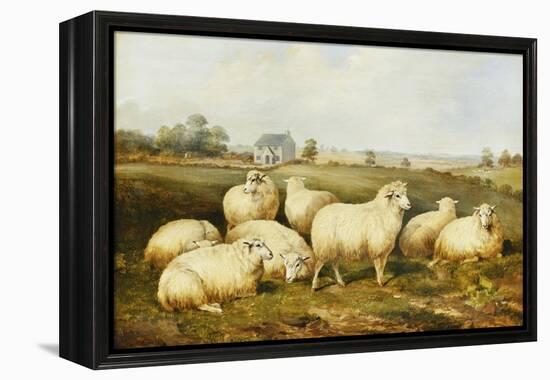 Sheep in a Meadow-James Charles Morris-Framed Premier Image Canvas