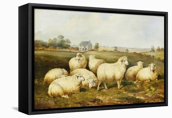 Sheep in a Meadow-James Charles Morris-Framed Premier Image Canvas