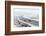 Sheep in a Wintry Landscape on the Mynydd Epynt Moorland, Powys, Wales, United Kingdom, Europe-Graham Lawrence-Framed Photographic Print