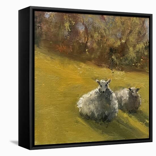 Sheep in Field V-Marilyn Wendling-Framed Stretched Canvas