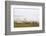 Sheep in Misty Weather on the Mynyd Epynt Moorland, Powys, Wales, United Kingdom-Graham Lawrence-Framed Photographic Print