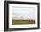 Sheep in Misty Weather on the Mynyd Epynt Moorland, Powys, Wales, United Kingdom-Graham Lawrence-Framed Photographic Print