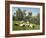 Sheep in Olive Grove, Patsos, Rethimnon (Rethymno) Region, Crete, Greek Islands, Greece, Europe-Stuart Black-Framed Photographic Print