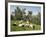 Sheep in Olive Grove, Patsos, Rethimnon (Rethymno) Region, Crete, Greek Islands, Greece, Europe-Stuart Black-Framed Photographic Print