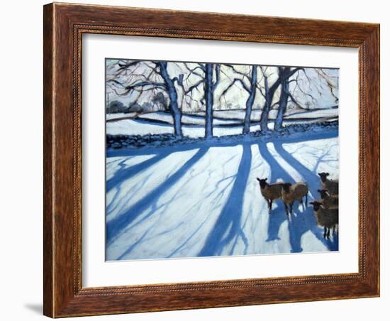 Sheep in Snow, Derbyshire-Andrew Macara-Framed Giclee Print