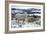 Sheep in Snow-null-Framed Photographic Print