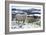 Sheep in Snow-null-Framed Photographic Print