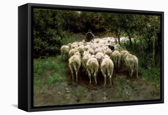 Sheep in the Forest, 19th Century-Anton Mauve-Framed Premier Image Canvas