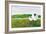 Sheep in the Meadow-Phyllis Adams-Framed Art Print