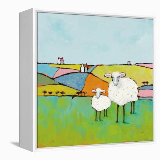 Sheep in the Meadow-Phyllis Adams-Framed Stretched Canvas