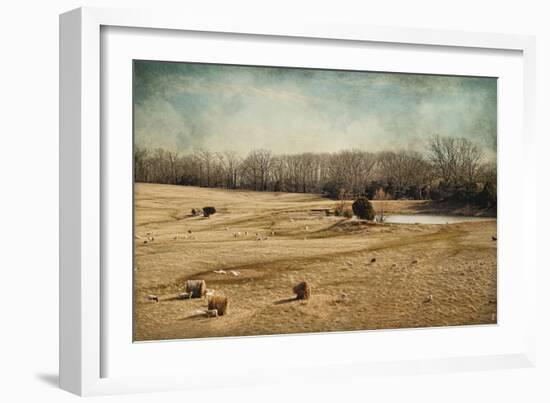 Sheep in the Meadow-Jai Johnson-Framed Giclee Print