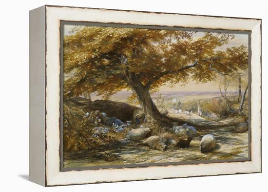 Sheep in the Shade, c.1851-Samuel Palmer-Framed Premier Image Canvas