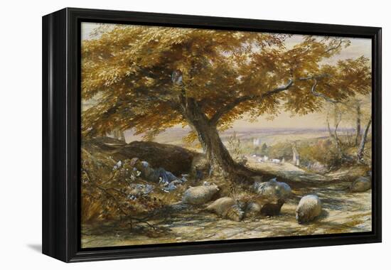 Sheep in the Shade, c.1851-Samuel Palmer-Framed Premier Image Canvas